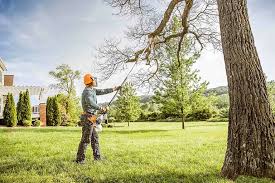 Best Tree and Shrub Care  in Grundy, VA