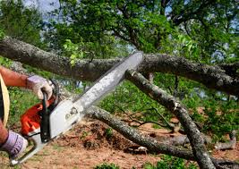 Best Lawn Maintenance Plans  in Grundy, VA