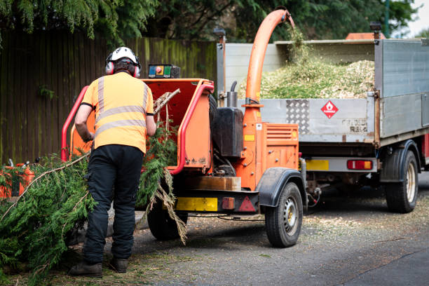 Best Hazardous Tree Removal  in Grundy, VA