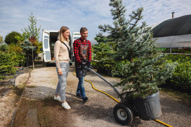 Best Arborist Consultation Services  in Grundy, VA
