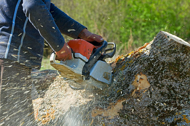 Best Aeration Services  in Grundy, VA